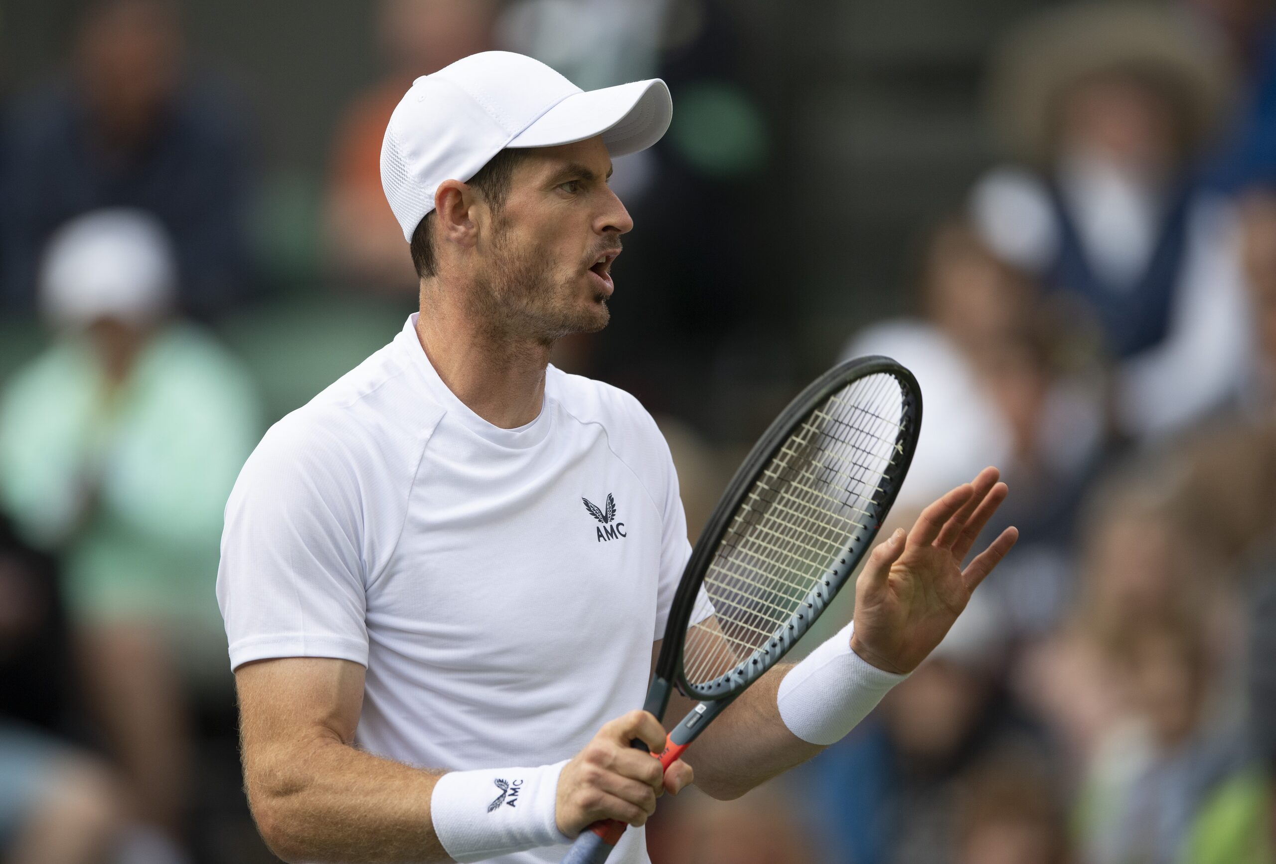 Preview Andy Murray Explora o Mundo do Capital de Risco Após Afastar-se do Ténis