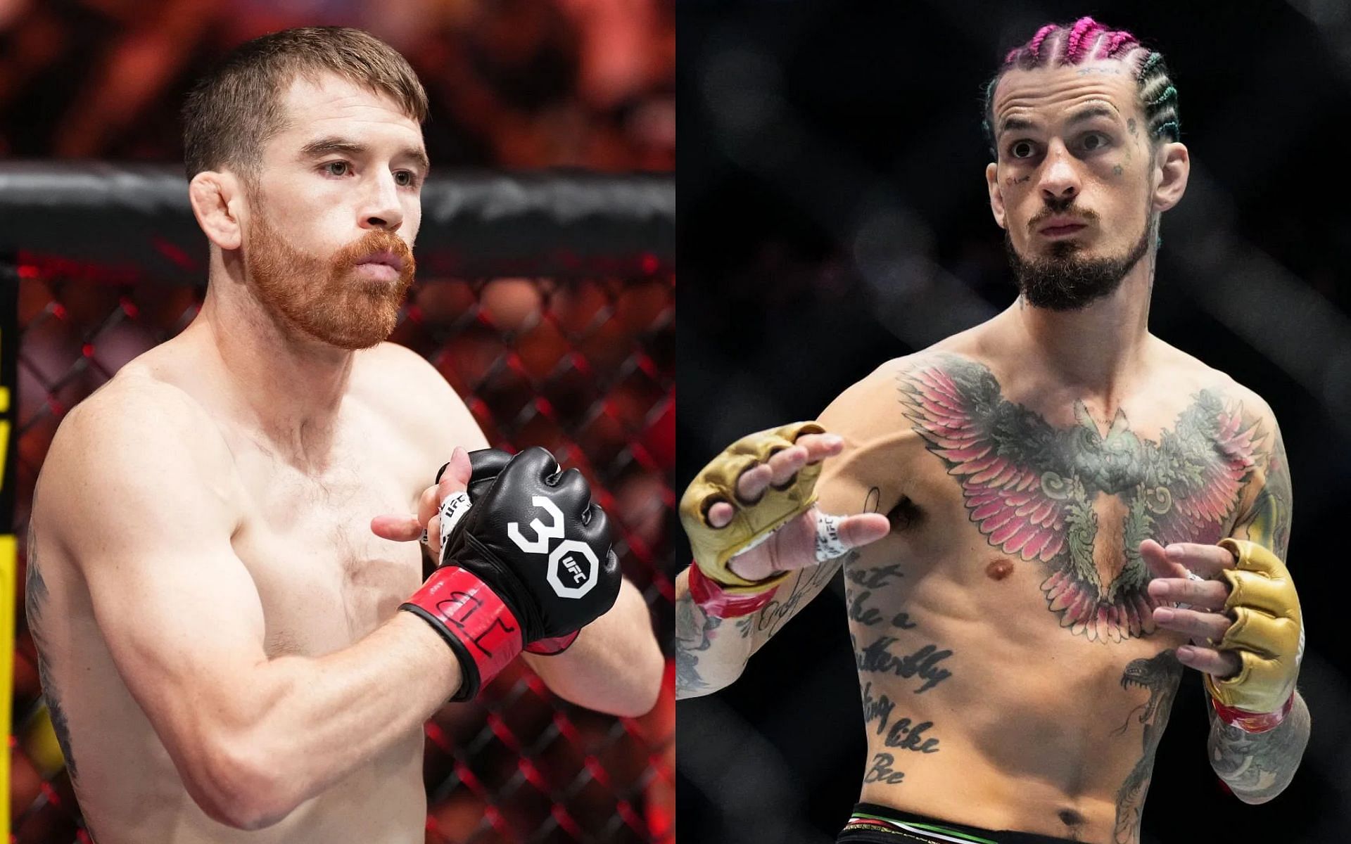 Preview Sean O’Malley Muda Estilo de Vida Radicalmente para Reconquistar Título UFC