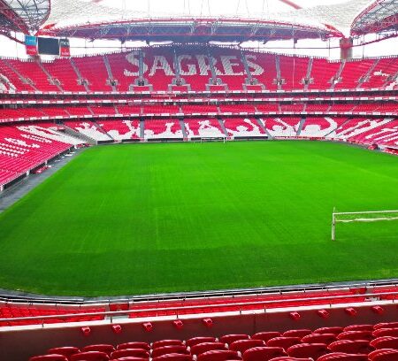 Planos de Martim Mayer: Futebol, Bruno Lage e Estádio da Luz