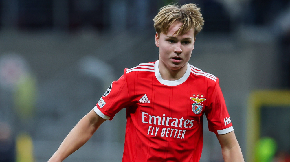 Preview Andreas Schjelderup Integra Treinos do Benfica
