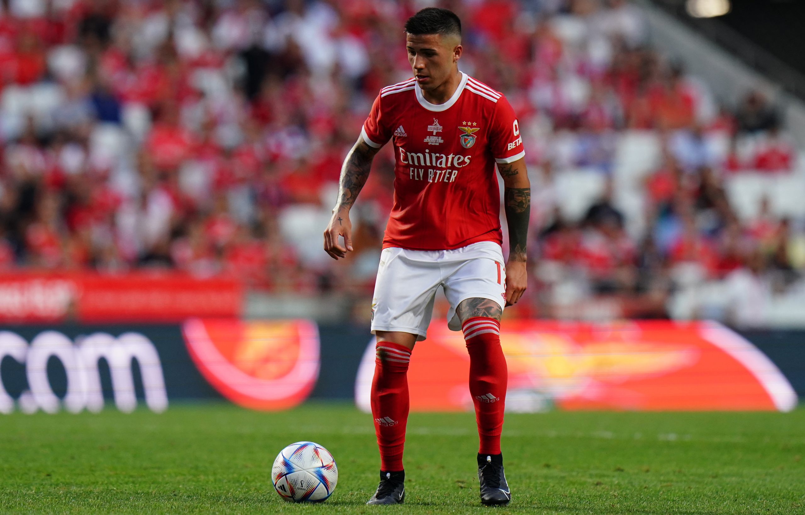 Preview O Futuro de Roger Fernandes: Benfica, Clubes Ingleses e o Interesse Saudita