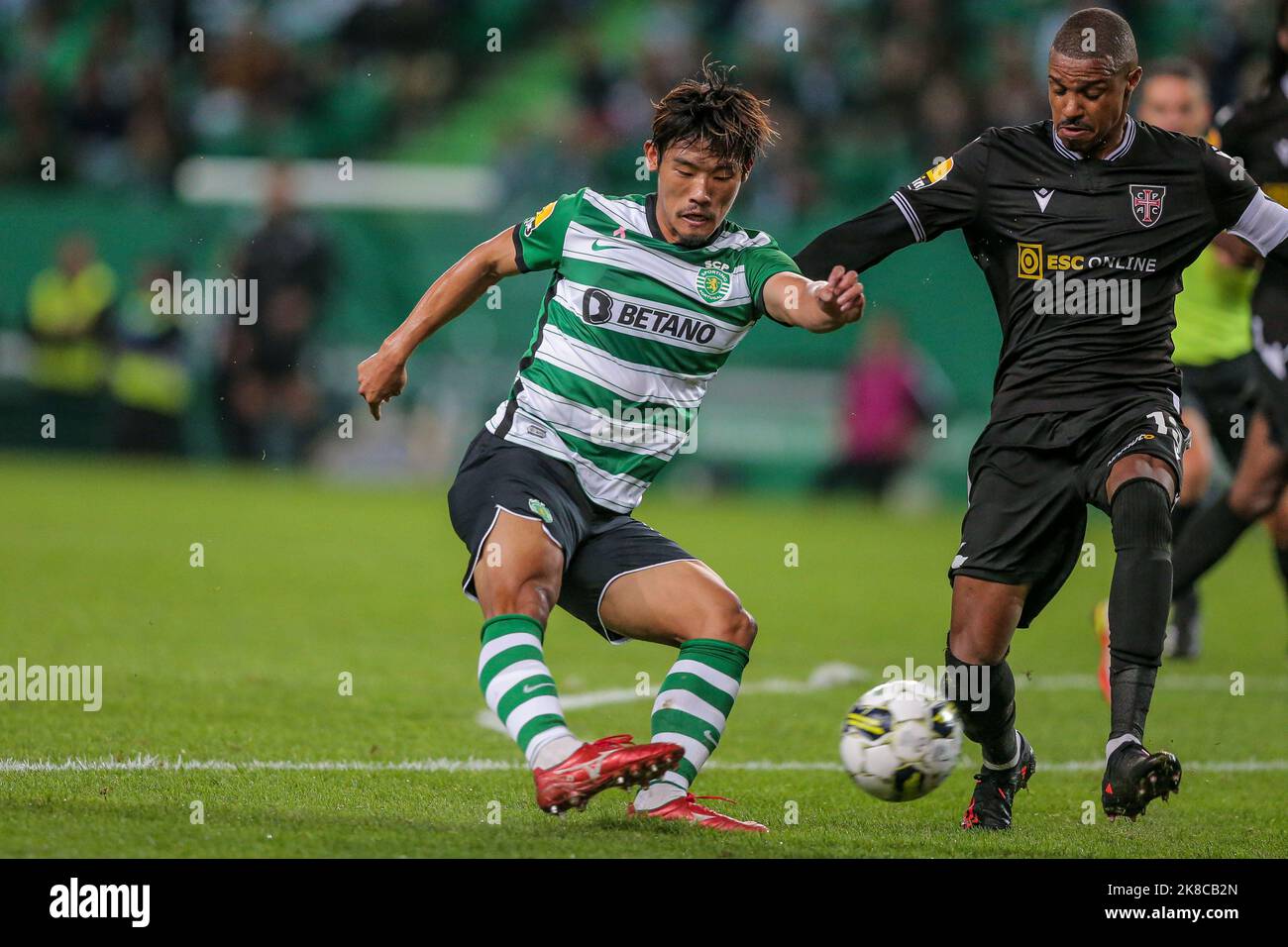 Preview Sporting regressa aos treinos com várias ausências e seis novidades