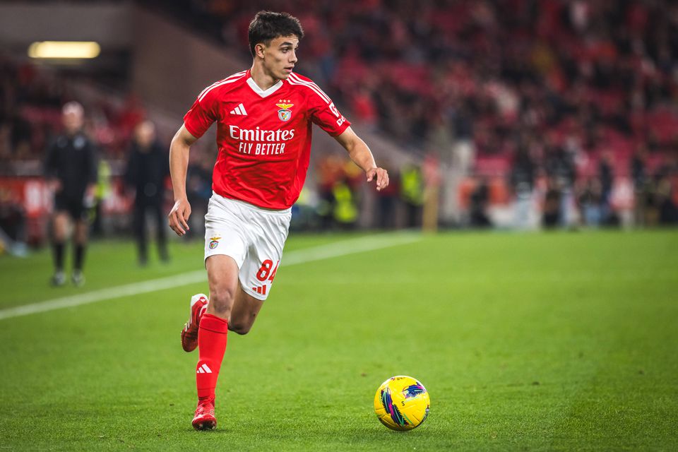 Preview Sudakov marca o primeiro golo pelo Benfica: “Um sentimento fantástico”